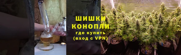 сатива Арсеньев