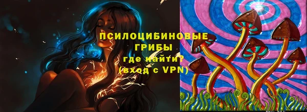 спиды Аркадак