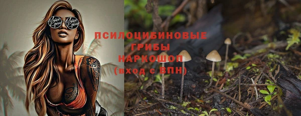 сатива Арсеньев