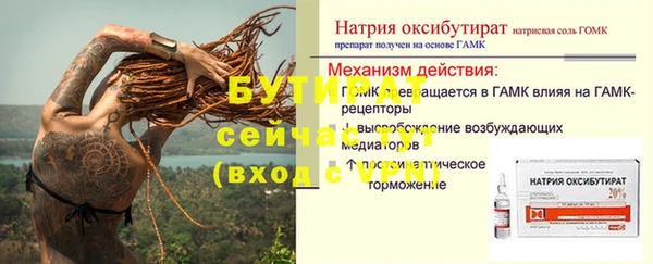 сатива Арсеньев