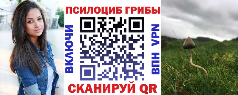 Галлюциногенные грибы мицелий  наркотики  Советск 